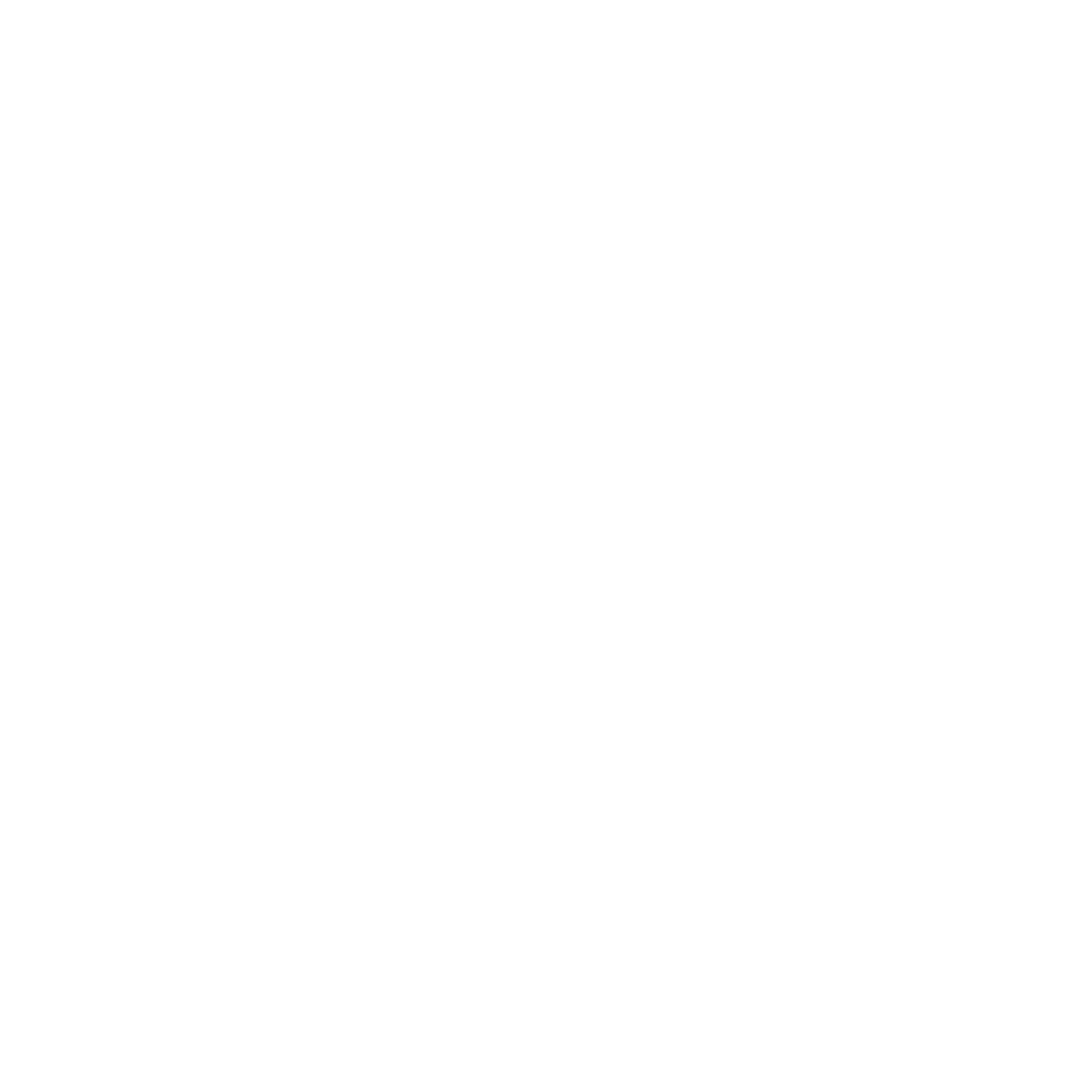 a badly drawn bird flying to the right, the birb. logo, boxed in marker with the words DO NOT ERASE